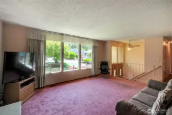 Living Rm facing front yard. No steps to front door, but then split entry.