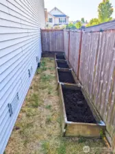 Plant your own garden!