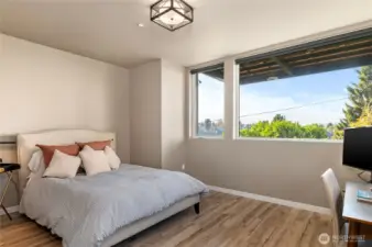 One of two lower level bedrooms.