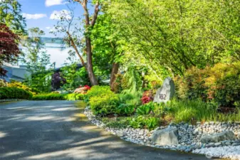 The approach to 182 feels like entering a private sanctuary. Native plantings, curated garden beds, and a peek of Carr Inlet set the tone for a home where design and setting work in harmony.