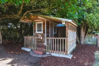 Outbuilding or play house?