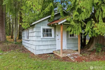 Shed in large backyard