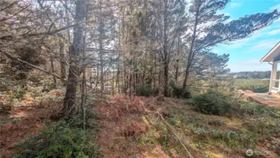 Potential building site.  Buyer to do due diligence for site development.