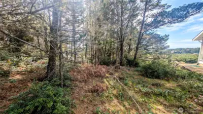 Tree lot with significant oceanview potential