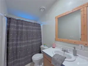 Full Guest Bathroom