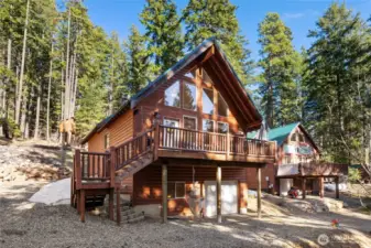 The quintessential cabin, nestled in the trees.