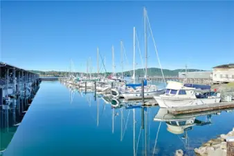 D dock fairway.
