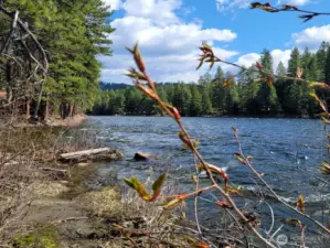 The Wenatchee River winds through the Ponderosa community with peaceful beauty—perfect for casting a line, skipping stones, or simply soaking in the serenity of the flowing water.