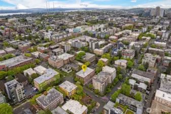 97 walk score!  Steps from Broadway, Pike/Pine, Volunteer Park, 15th and 19th retail.  Hop on lightrail in minutes!  Walk right down the hill into Downtown and South Lake Union.  EZ bus/bike to UW, SU, and beyond.