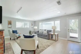 Lower level living room