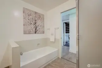 Lower level bath tub