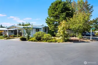 This corner lot has large trees for shade and adjoins guest parking on one side.