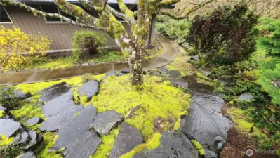 Yard is more of a park to sit and read a book or sit and meditate.