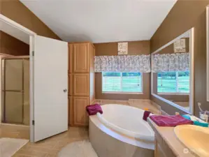 Soaking tub and shower in the primary bath