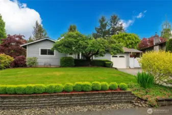 Beautifully remodeled home on a spacious corner lot across from a greenbelt teaming with wildlife!