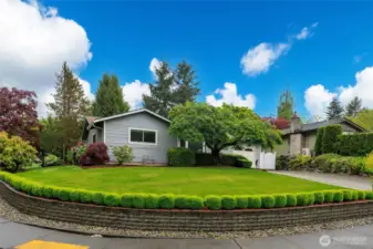 Sunny corner lot