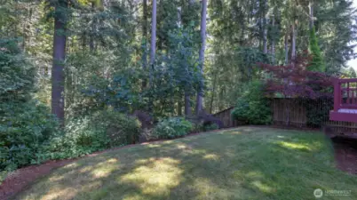 The backyard is large and fully fenced.  throw balls and play all day long in you own yard.  The elementary school (Challenger) is walking distance along with Beaver Lake middle school.