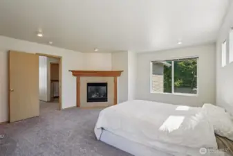 Primary with gas fireplace!
