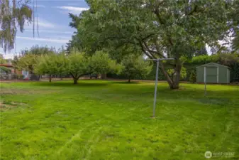 Backyard has a garden shed and large garden space