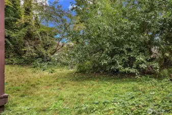 Large yard shared by the 3 units.