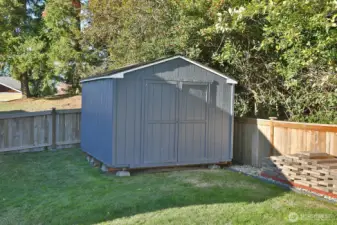 Super clean, spacious shed.