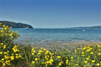 Freeland Park _ just a few minutes from the home...features areas to walk...