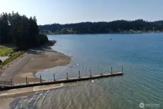 Beach walking anyone!?