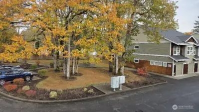 Fall is a great time of year