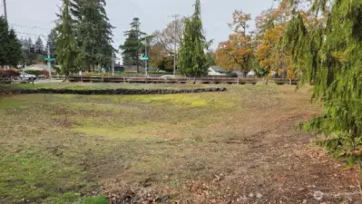 Buffer between Condo and the road water run off area