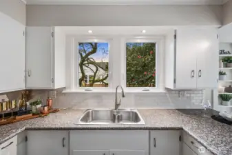 Kitchen view of blooming mature camilia's.