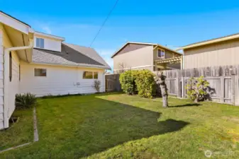 Side of the yard between the shed and the house.