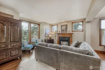 living room with gas fireplace