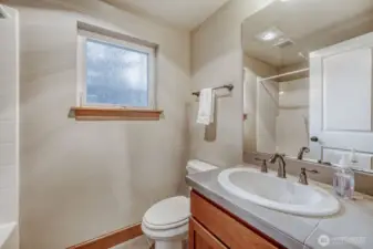 lower level bathroom