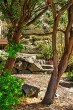 Mature native plants and trees abundant on site