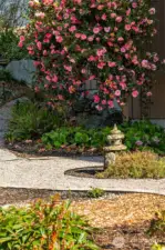 Zen garden for serenity