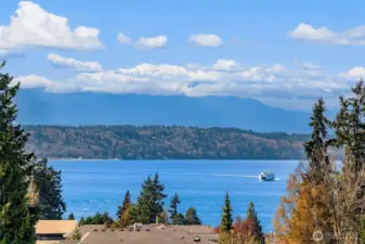 View from rooftop deck