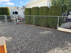 Yard all fenced