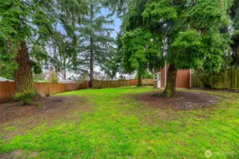 Large backyard offering plenty of room to enjoy outdoor living.
