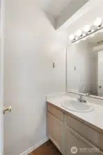 Downstairs bathroom. Toilet on left side.