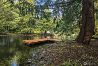 Tranquil canal frontage with a private dock, framed by mature evergreens for a peaceful waterfront setting.