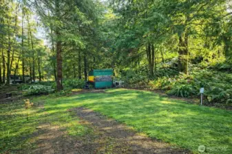 Cleared and usable outdoor space with lush greenery, ideal for relaxing, entertaining, or setting up camp.