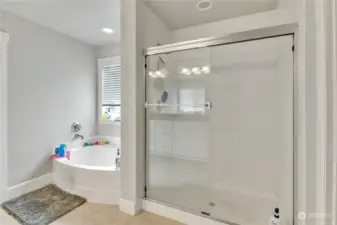 Primary bathroom shower and bath.