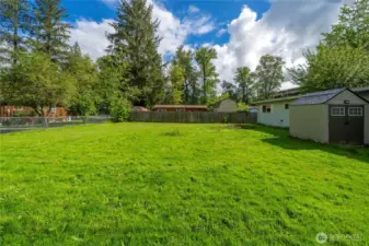 Wide, open yard—perfect for pets, hosting summer BBQs, or simply soaking up the Northwest sunshine.