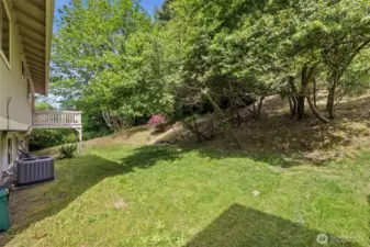 Large backyard features perennial plantings and a hazel nut tree.