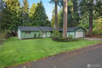 COME SEE IT FOR YOURSELF!
