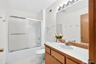 Lower Level Suite Bathroom