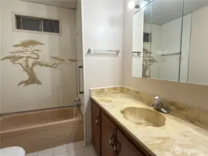 Full bath off of the Primary.