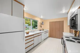 A large walk-in pantry and lots of cabinets- no storage issues here!