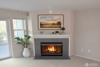 Gas fireplace