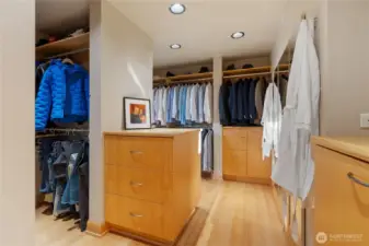 Generous walk-in closet with built-ins.